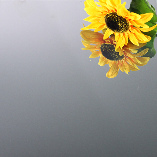 REFLECTIVE GLASS